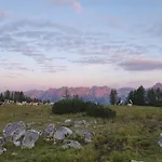 Blick Ins Grüne *