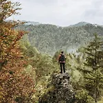 Blick Ins Grüne