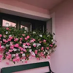 Blick Ins Grüne Rossleithen