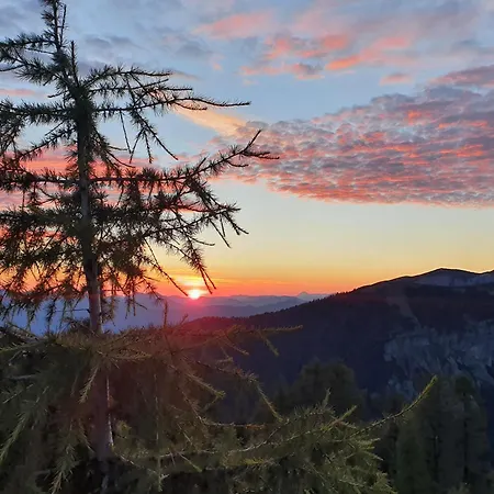 Lägenhet Blick Ins Gruene *