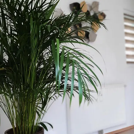 Apartamento Blick Ins Grüne