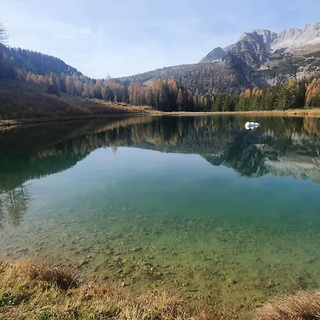 Blick Ins Gruene Lägenhet *