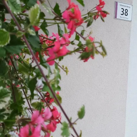 Lägenhet Blick Ins Gruene Rossleithen