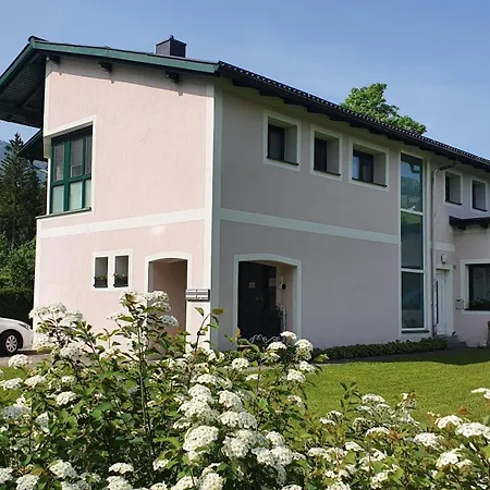 Blick Ins Gruene *