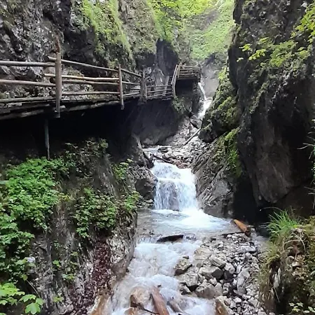 Blick Ins Gruene Lägenhet Rossleithen