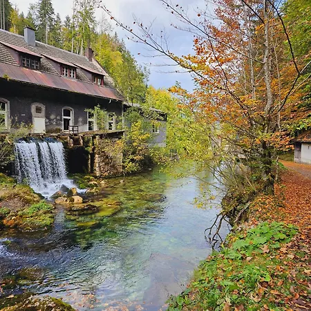 Blick Ins Gruene Rossleithen