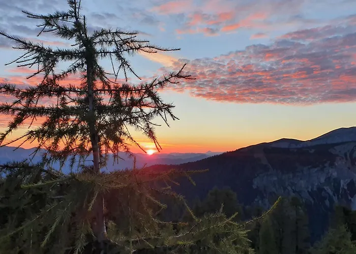 公寓 Blick Ins Gruene *