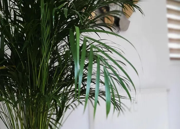 Apartament Blick Ins Gruene