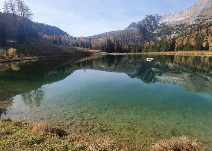 Blick Ins Gruene Apartament *