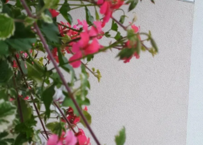 公寓 Blick Ins Gruene Rossleithen