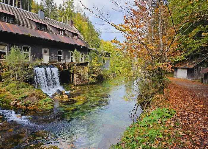 Blick Ins Gruene Rossleithen