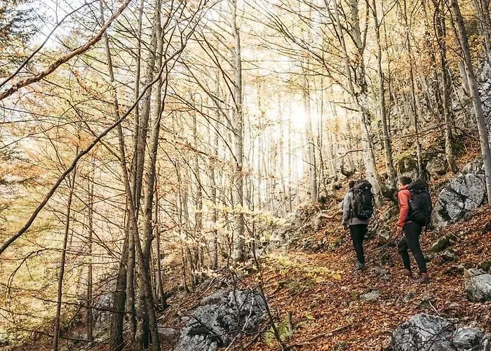 Blick Ins Gruene Daire Rossleithen