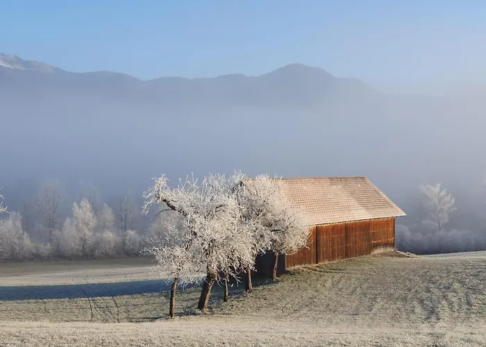 Blick Ins Gruene Rossleithen