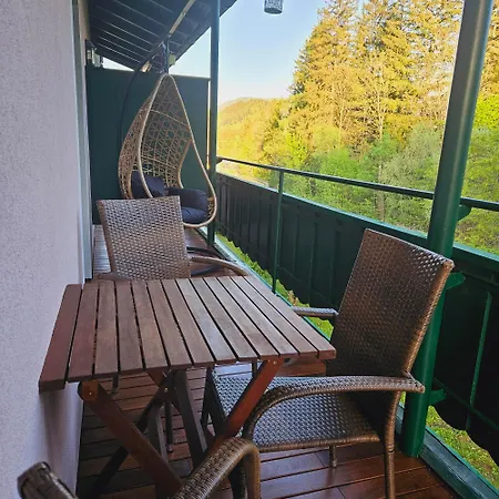 Blick Ins Gruene Lejlighed Rossleithen