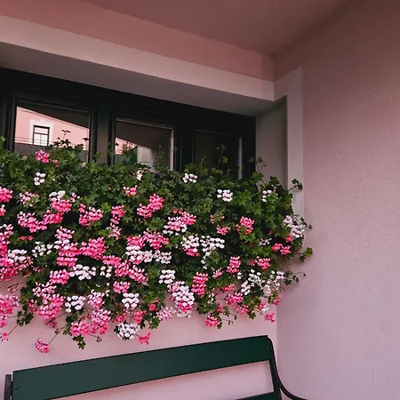 Blick Ins Grüne Rossleithen