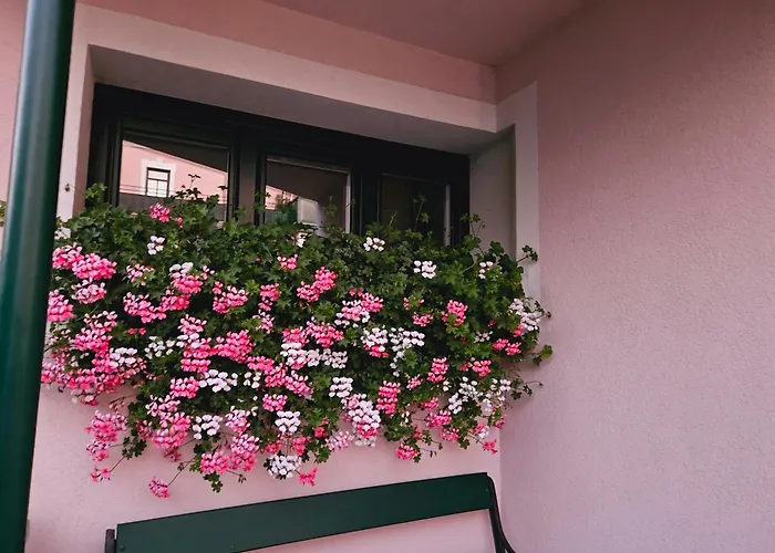 Blick Ins Gruene 로스레이텐