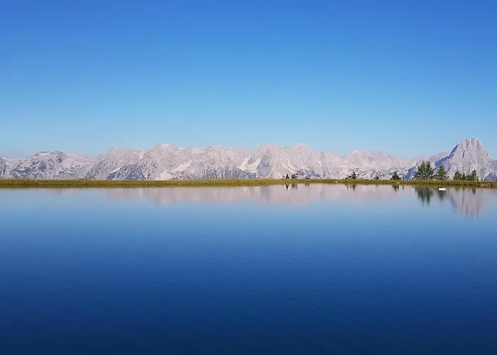 아파트 Blick Ins Gruene